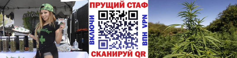 Все наркотики Йошкар-Ола COCAIN Мефедрон APVP Псилоцибиновые грибы МЕТАМФЕТАМИН ГАШ