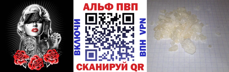 A PVP СК КРИС  Йошкар-Ола 