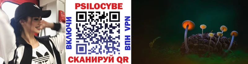 купить наркоту Йошкар-Ола Галлюциногенные грибы Psilocybe